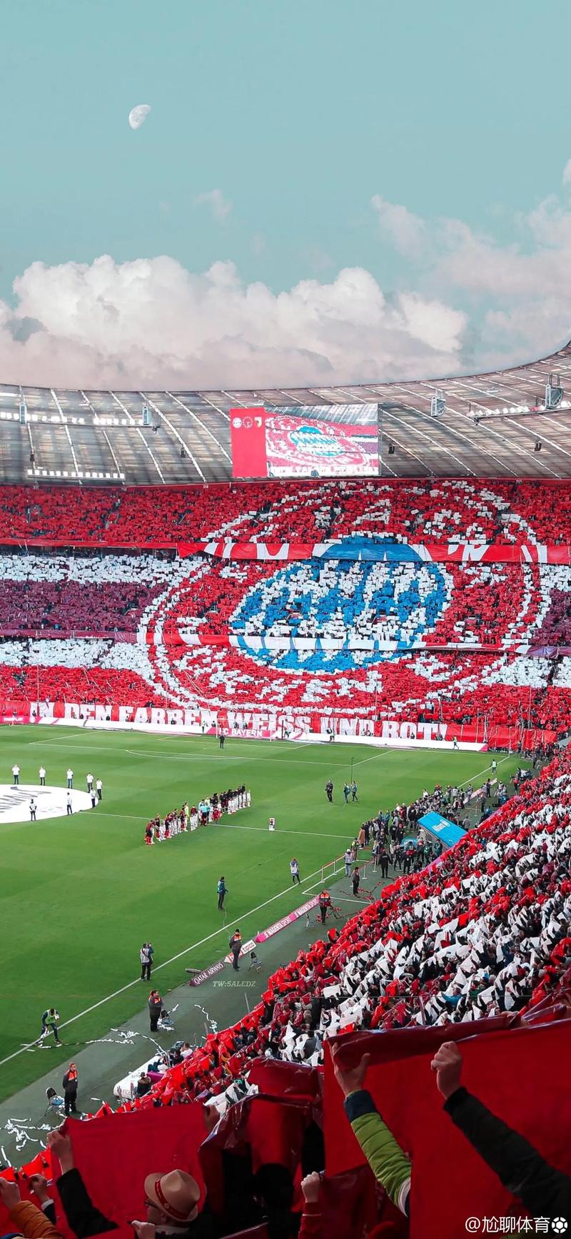 痛！女裁判扔球给希罗，不小心砸到了希罗的关键部位